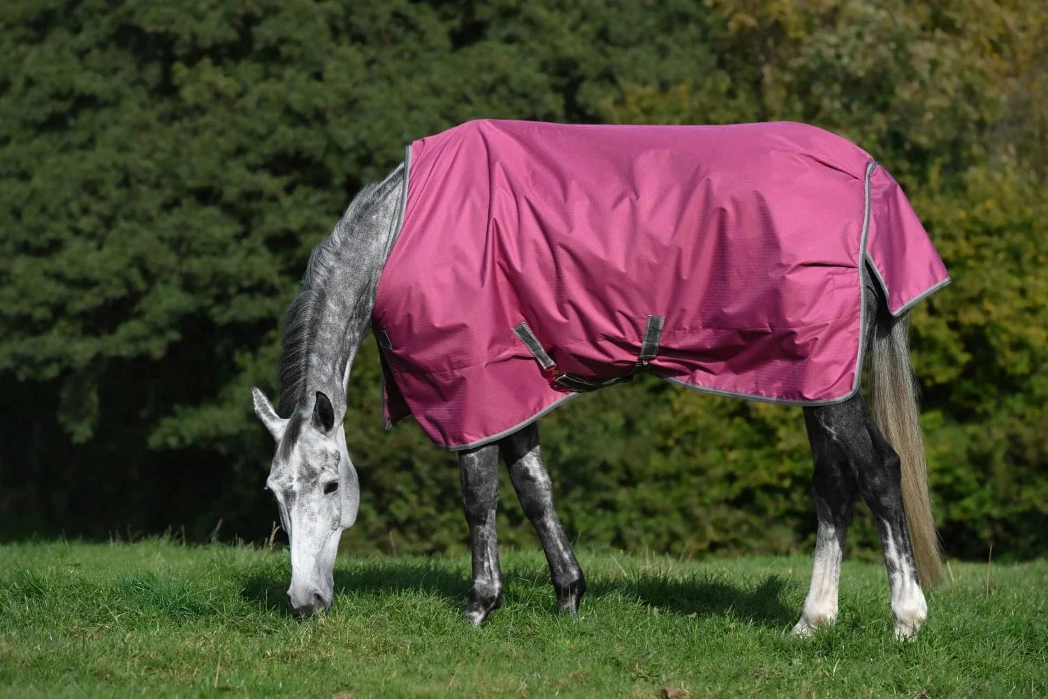 Derka padokowa Bucas Freedom T/O 150g - Cavalo